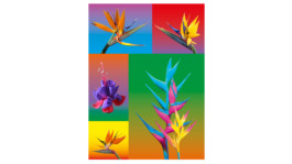 Quentin Chastagnaret — Graphic Designer & Art Director