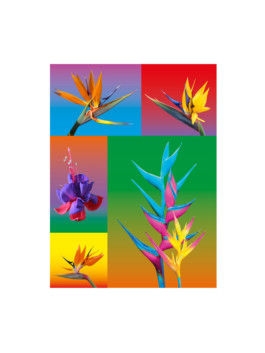 Quentin Chastagnaret — Graphic Designer & Art Director